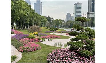 來現(xiàn)場打卡，感受“美麗無錫”的美好