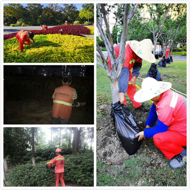 F:\2圖片\宣傳\2020高溫慰問\養(yǎng)護(hù)拼圖.jpg F:\2圖片\宣傳\2020高溫慰問\養(yǎng)護(hù)拼圖.jpg